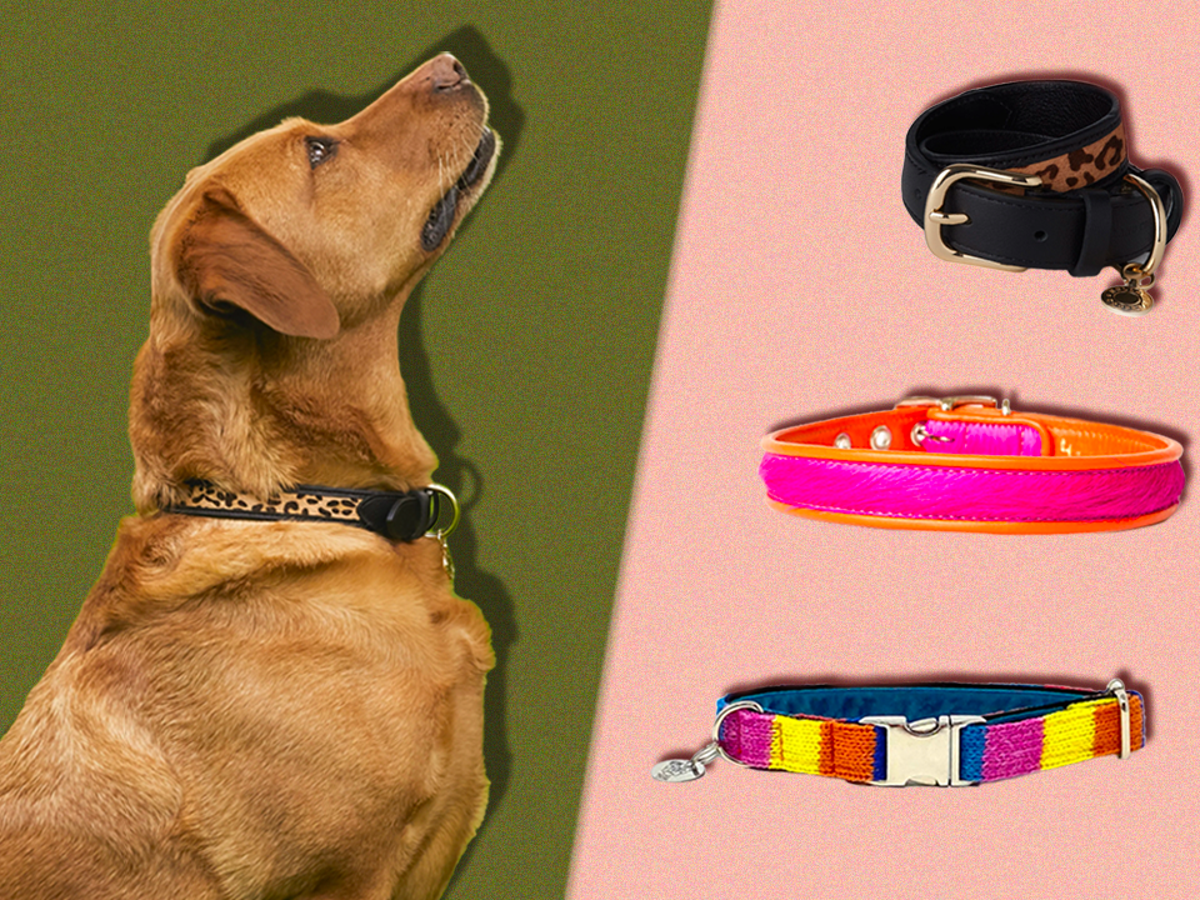 Pets at home top dog leads and collars